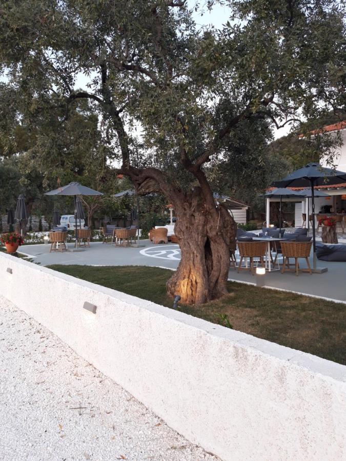 Orama Thassos Hotel Szkála Szotírosz Kültér fotó
